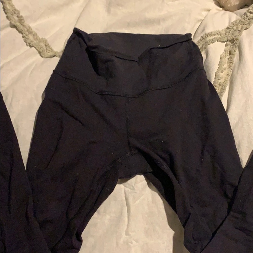 Black Wunder under high rise 25"